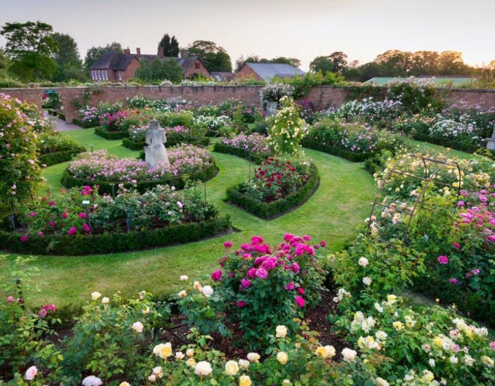 Hyde Park Rose Garden, St Albans, United Kingdom